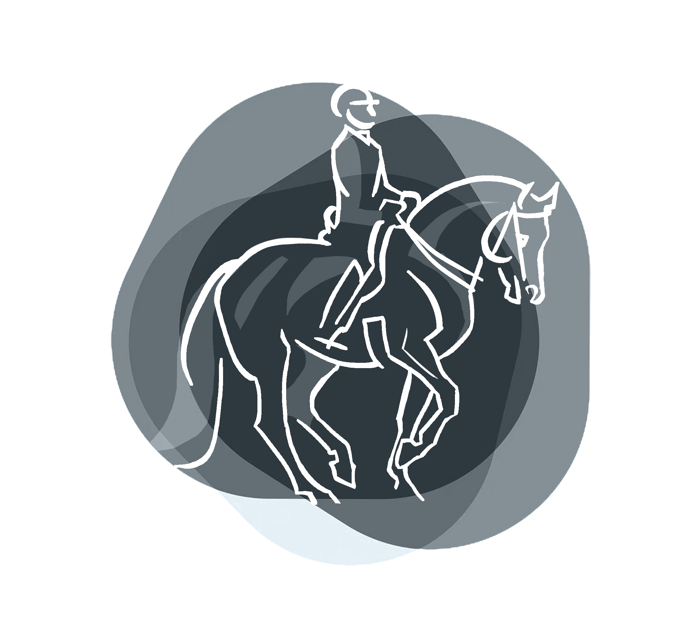 Comunicado oficial Campeonato Navarro Doma Clasica y Adaptada 2022